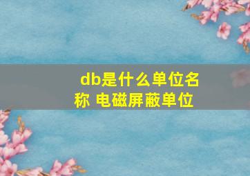 db是什么单位名称 电磁屏蔽单位